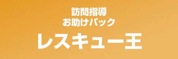 訪問指導サービス